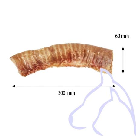 Trachée de Boeuf 30 cm, l'unité